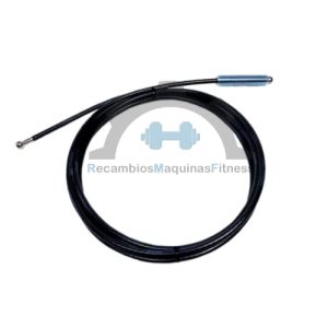Cable Life Fitness Leg Extension FZLE
