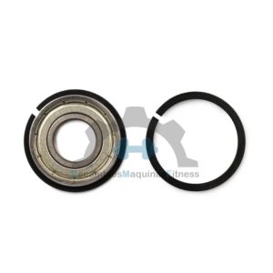 Assault Bike Rodamientos Doble anillo