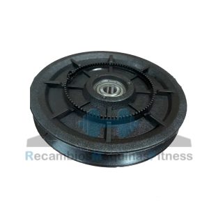 Polea technogym Selection Pro